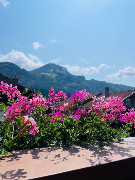 Berge, Wandern, Erholung Pur! Fewo Tinka-Haus Katja Bad Hindelang Exterior photo